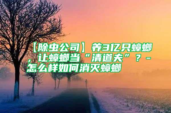 【除蟲公司】養(yǎng)3億只蟑螂，讓蟑螂當“清道夫”？-怎么樣如何消滅蟑螂