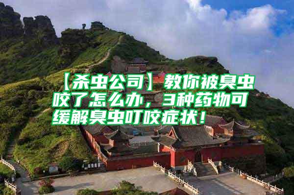 【殺蟲公司】教你被臭蟲咬了怎么辦，3種藥物可緩解臭蟲叮咬癥狀！