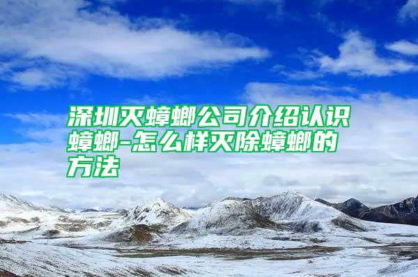 深圳滅蟑螂公司介紹認(rèn)識蟑螂-怎么樣滅除蟑螂的方法