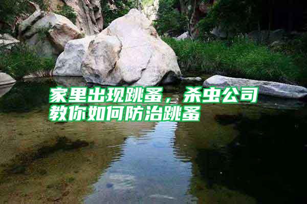 家里出現(xiàn)跳蚤，殺蟲(chóng)公司教你如何防治跳蚤