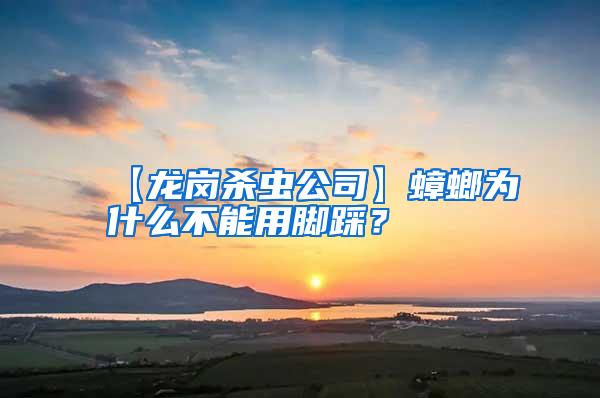 【龍崗殺蟲公司】蟑螂為什么不能用腳踩？