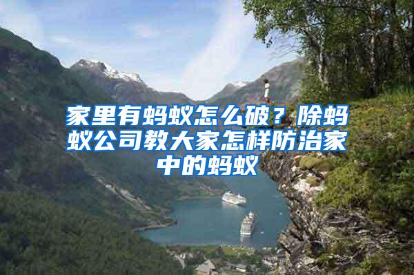 家里有螞蟻怎么破？除螞蟻公司教大家怎樣防治家中的螞蟻