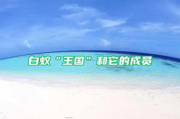 白蟻“王國(guó)”和它的成員