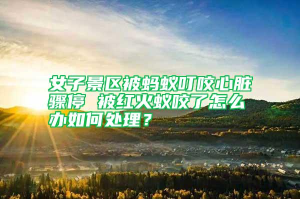 女子景區(qū)被螞蟻叮咬心臟驟停 被紅火蟻咬了怎么辦如何處理？