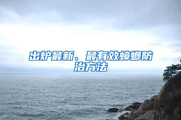 出爐最新、最有效蟑螂防治方法