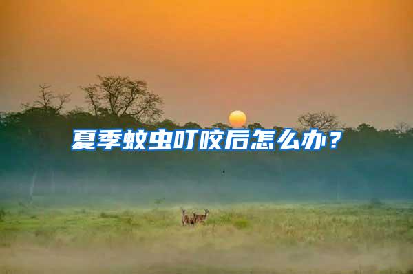 夏季蚊蟲叮咬后怎么辦？