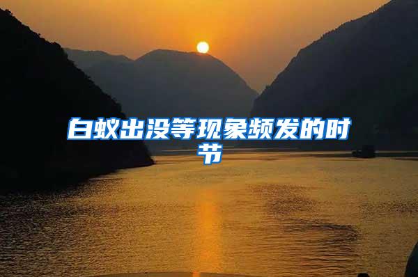 白蟻出沒(méi)等現(xiàn)象頻發(fā)的時(shí)節(jié)