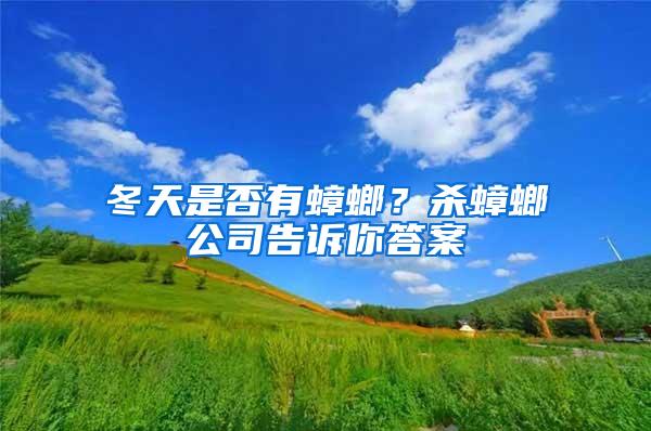 冬天是否有蟑螂？殺蟑螂公司告訴你答案