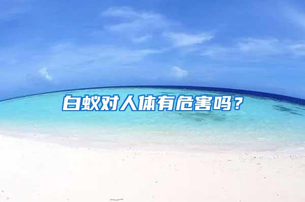 白蟻對人體有危害嗎？