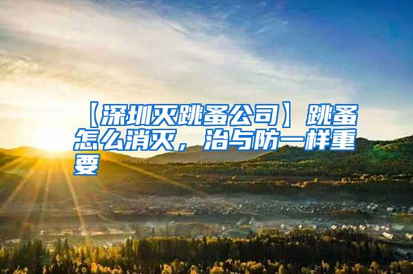 【深圳滅跳蚤公司】跳蚤怎么消滅，治與防一樣重要
