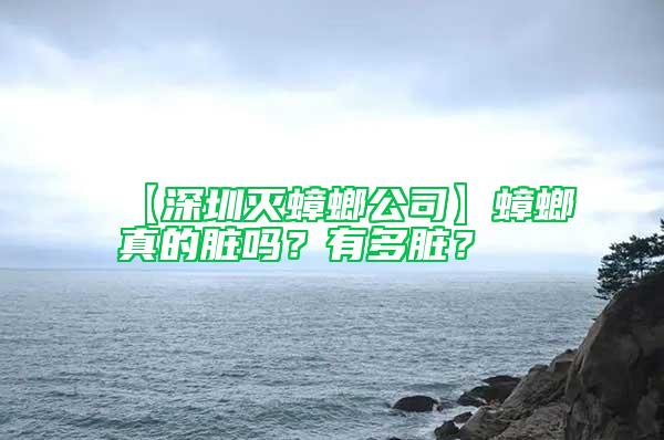 【深圳滅蟑螂公司】蟑螂真的臟嗎？有多臟？