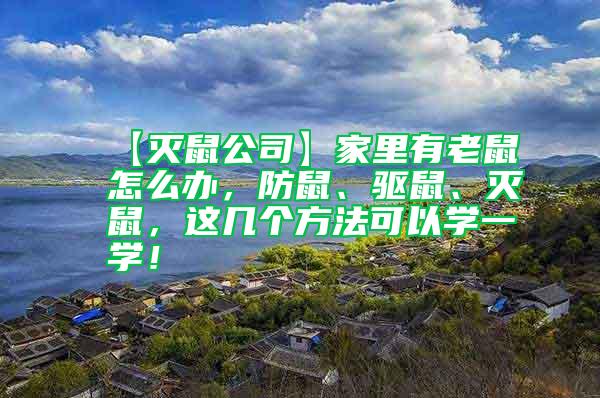 【滅鼠公司】家里有老鼠怎么辦，防鼠、驅(qū)鼠、滅鼠，這幾個(gè)方法可以學(xué)一學(xué)！