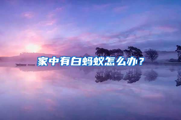 家中有白螞蟻怎么辦？