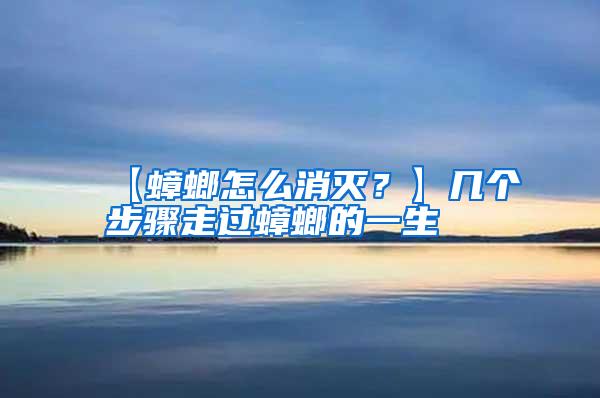 【蟑螂怎么消滅？】幾個(gè)步驟走過蟑螂的一生