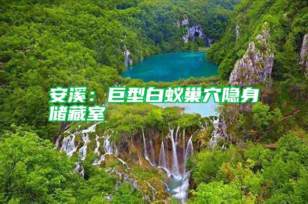 安溪：巨型白蟻巢穴隱身儲(chǔ)藏室