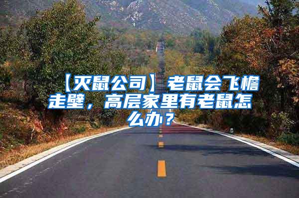 【滅鼠公司】老鼠會(huì)飛檐走壁，高層家里有老鼠怎么辦？
