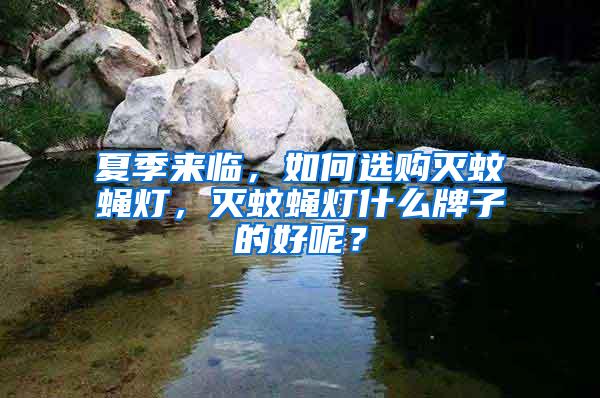 夏季來臨，如何選購滅蚊蠅燈，滅蚊蠅燈什么牌子的好呢？