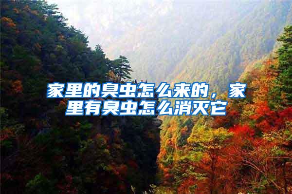 家里的臭蟲怎么來(lái)的，家里有臭蟲怎么消滅它