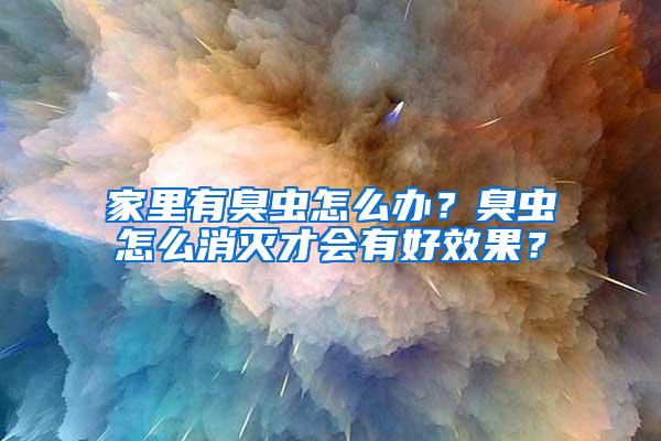 家里有臭蟲怎么辦？臭蟲怎么消滅才會(huì)有好效果？