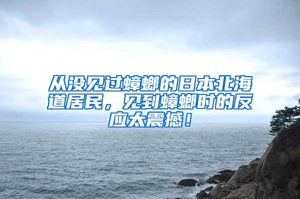 從沒見過蟑螂的日本北海道居民，見到蟑螂時的反應(yīng)太震撼！