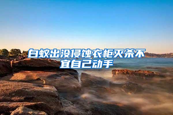 白蟻出沒侵蝕衣柜滅殺不宜自己動(dòng)手