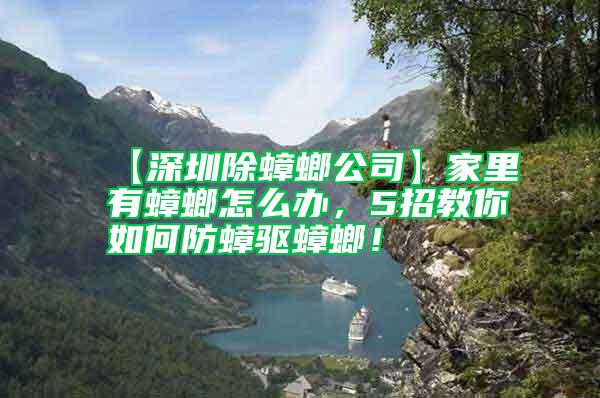 【深圳除蟑螂公司】家里有蟑螂怎么辦，5招教你如何防蟑驅(qū)蟑螂！