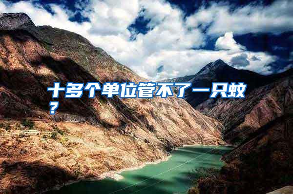 十多個(gè)單位管不了一只蚊？