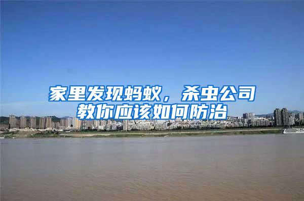 家里發(fā)現(xiàn)螞蟻，殺蟲公司教你應(yīng)該如何防治