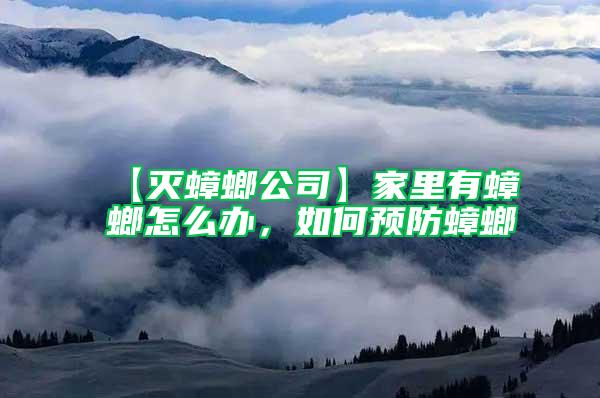 【滅蟑螂公司】家里有蟑螂怎么辦，如何預(yù)防蟑螂