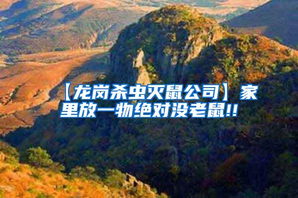 【龍崗殺蟲滅鼠公司】家里放一物絕對(duì)沒(méi)老鼠!!