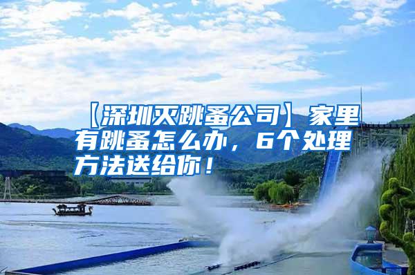 【深圳滅跳蚤公司】家里有跳蚤怎么辦，6個(gè)處理方法送給你！