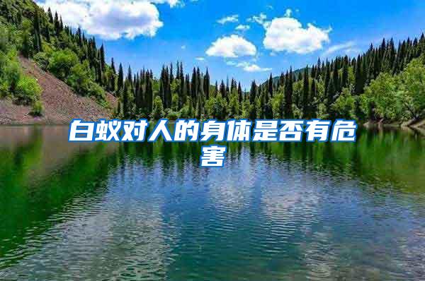 白蟻對(duì)人的身體是否有危害
