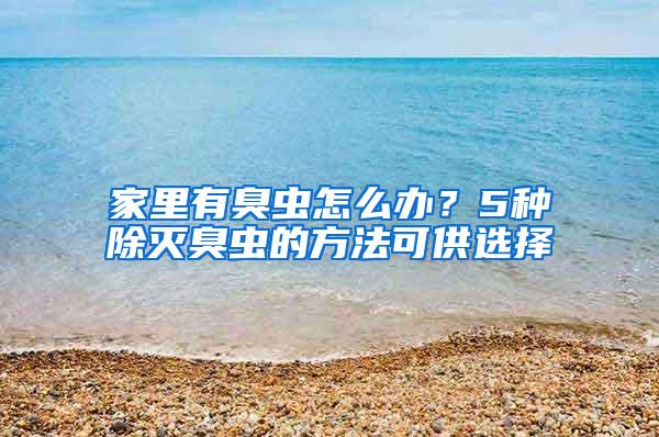 家里有臭蟲怎么辦？5種除滅臭蟲的方法可供選擇
