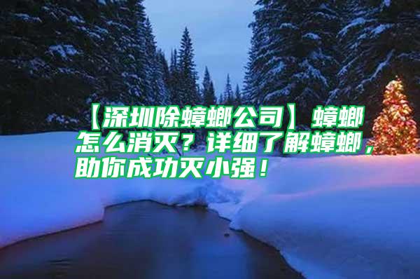 【深圳除蟑螂公司】蟑螂怎么消滅？詳細(xì)了解蟑螂，助你成功滅小強(qiáng)！