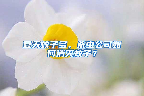 夏天蚊子多，殺蟲公司如何消滅蚊子？