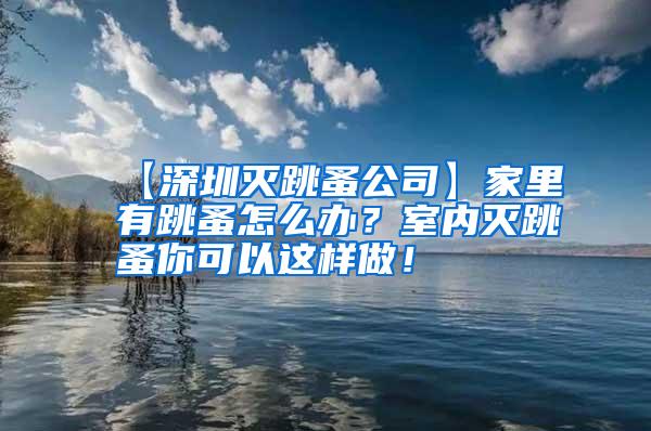 【深圳滅跳蚤公司】家里有跳蚤怎么辦？室內(nèi)滅跳蚤你可以這樣做！