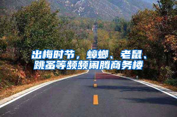 出梅時節(jié)，蟑螂、老鼠、跳蚤等頻頻鬧騰商務樓