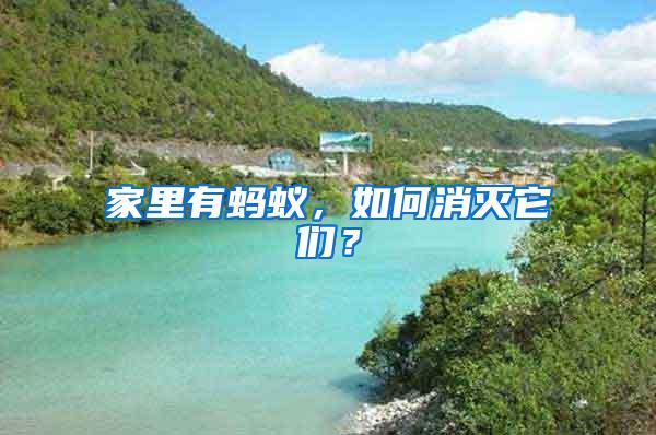 家里有螞蟻，如何消滅它們？