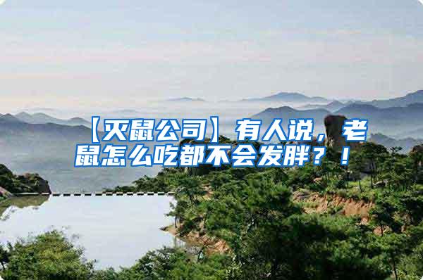 【滅鼠公司】有人說，老鼠怎么吃都不會(huì)發(fā)胖？！