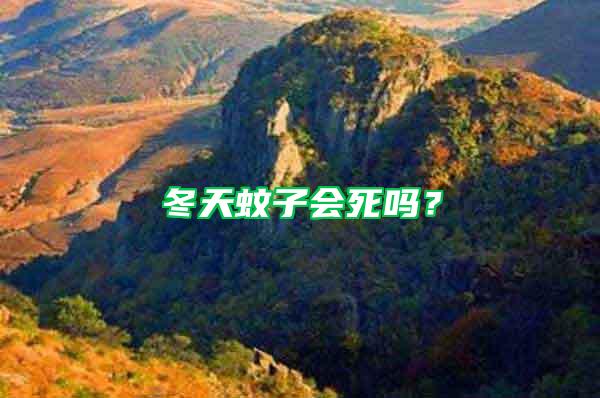 冬天蚊子會死嗎？