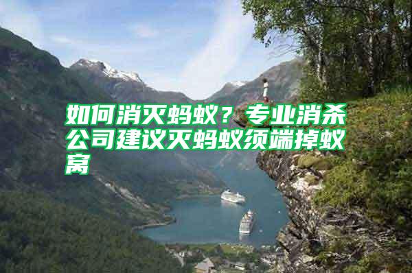 如何消滅螞蟻？專業(yè)消殺公司建議滅螞蟻須端掉蟻窩