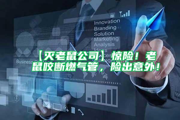 【滅老鼠公司】驚險(xiǎn)！老鼠咬斷燃?xì)夤?，險(xiǎn)出意外！