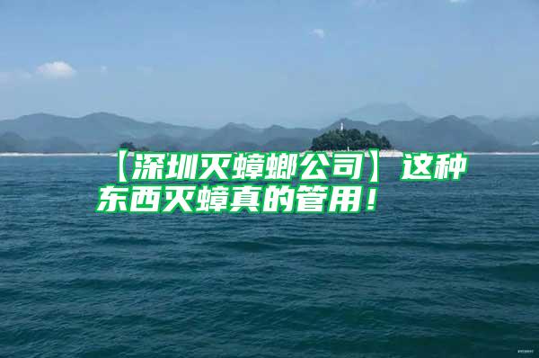 【深圳滅蟑螂公司】這種東西滅蟑真的管用！