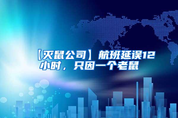 【滅鼠公司】航班延誤12小時(shí)，只因一個老鼠