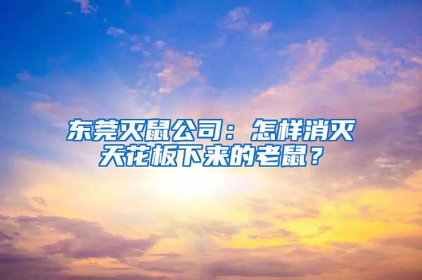 東莞滅鼠公司：怎樣消滅天花板下來的老鼠？