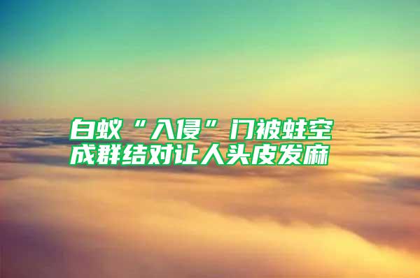 白蟻“入侵”門被蛀空 成群結(jié)對(duì)讓人頭皮發(fā)麻