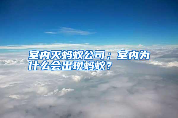 室內(nèi)滅螞蟻公司；室內(nèi)為什么會(huì)出現(xiàn)螞蟻？