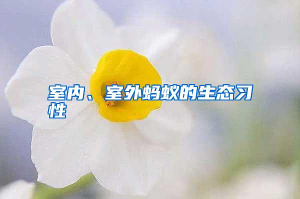室內(nèi)、室外螞蟻的生態(tài)習(xí)性