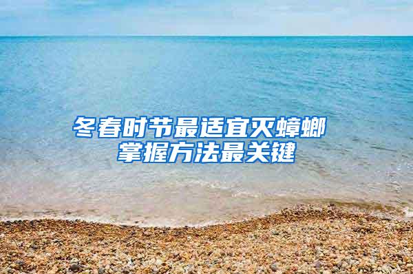 冬春時節(jié)最適宜滅蟑螂 掌握方法最關鍵