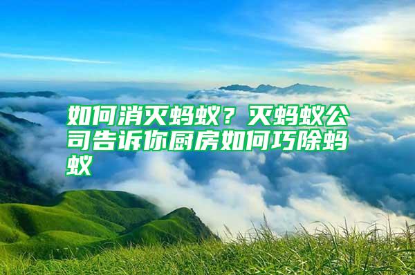 如何消滅螞蟻？滅螞蟻公司告訴你廚房如何巧除螞蟻